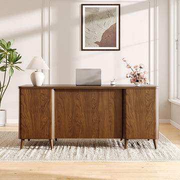 Wooden desk in a room with a plant, lamp, and framed picture on the wall.