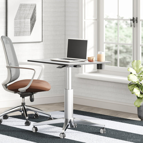 Adjustable Height Mobile Standing Desk with Wheels