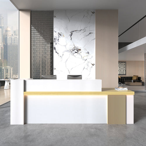 Front Side of a Modern Reception Desk with Counter, Open Shelving and Lockable Drawer