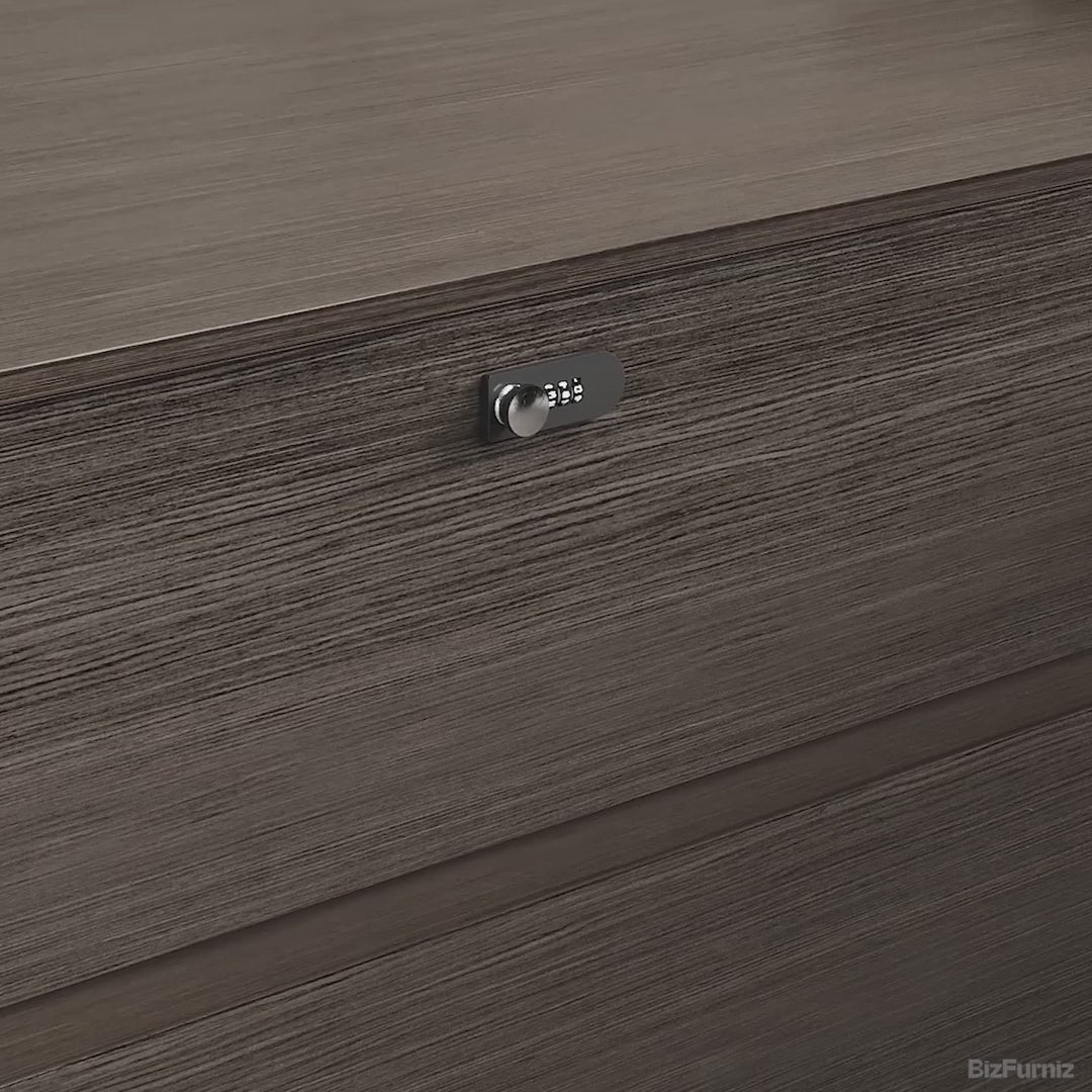 LBZ-605-04-detail-video-7